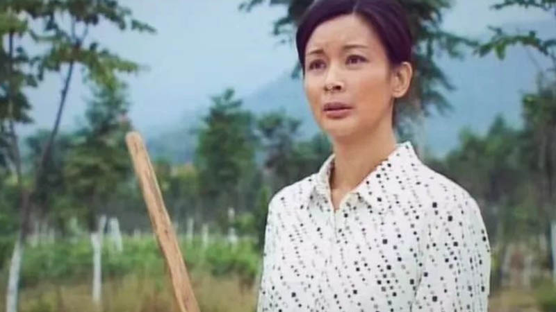 《我们村的女当家》电影